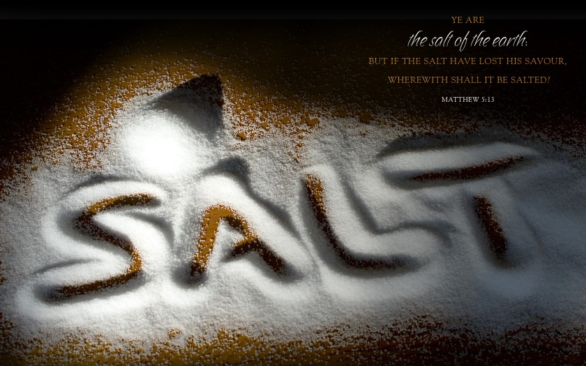 salt_of_the_earth(1)